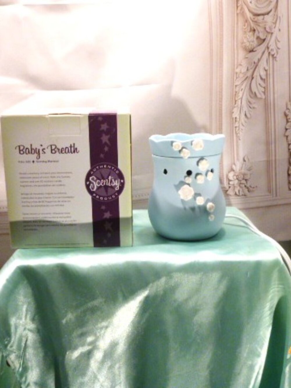 Scentsy Warmer.